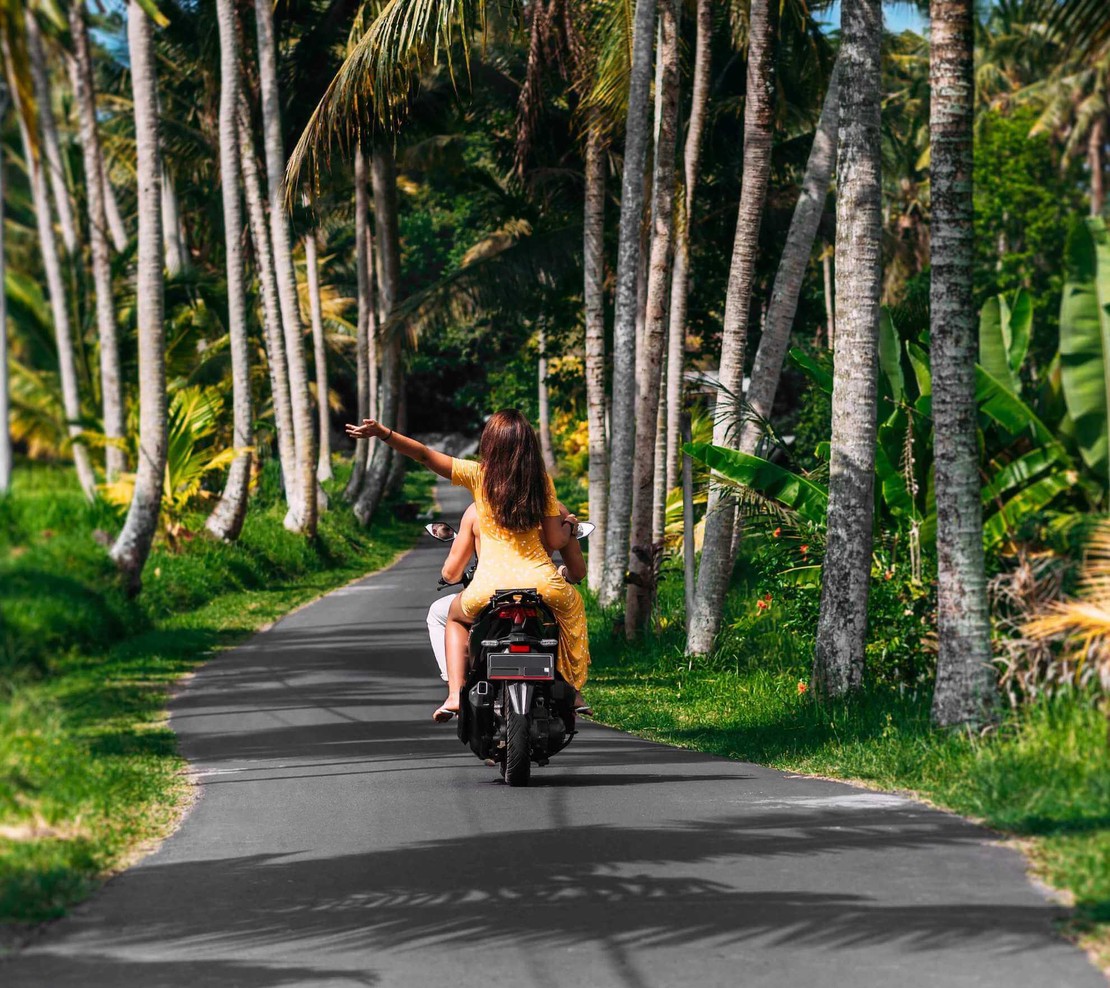 Wild Nest Villa : modern villa with a pool in Talpe, Unawatuna, Galle Sri Lanka